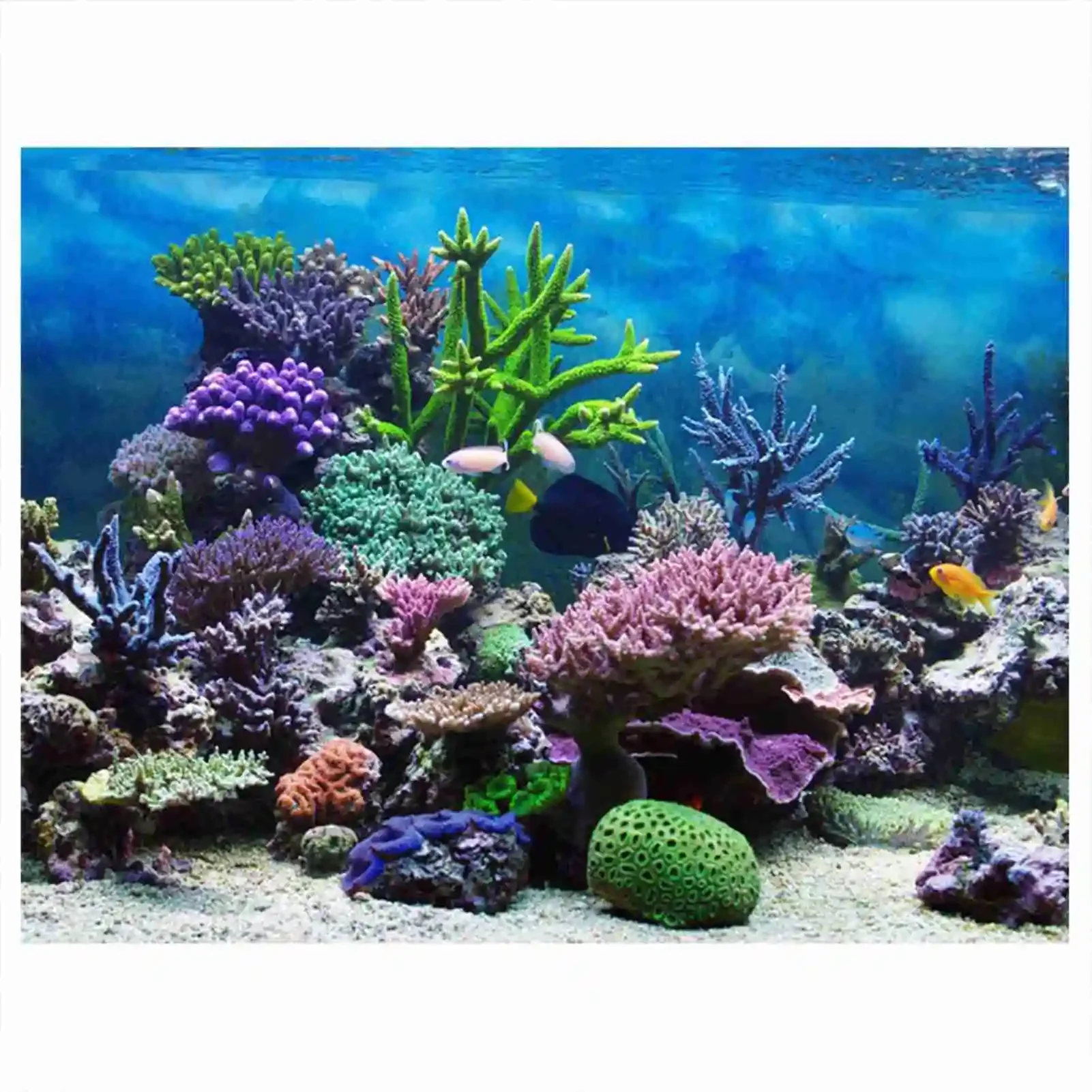 3D Aquarium Landscape Poster R - مراجعة Aquarium Fish Poster وسعره