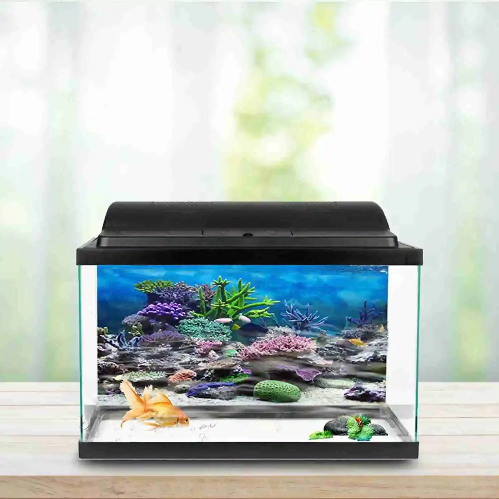 3D Aquarium Landscape Poster R - مراجعة Aquarium Fish Poster وسعره