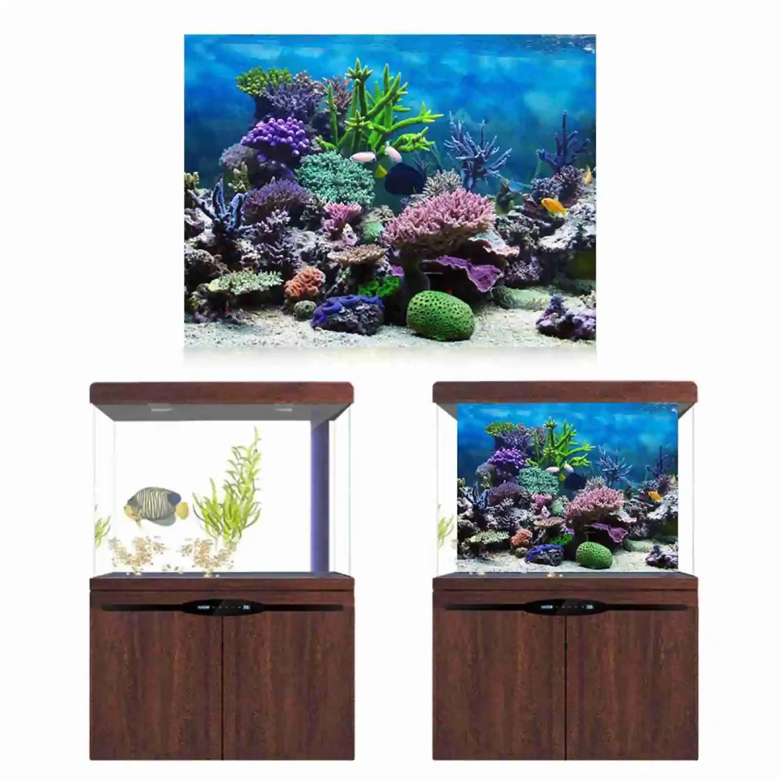 3D Aquarium Landscape Poster R - مراجعة Aquarium Fish Poster وسعره