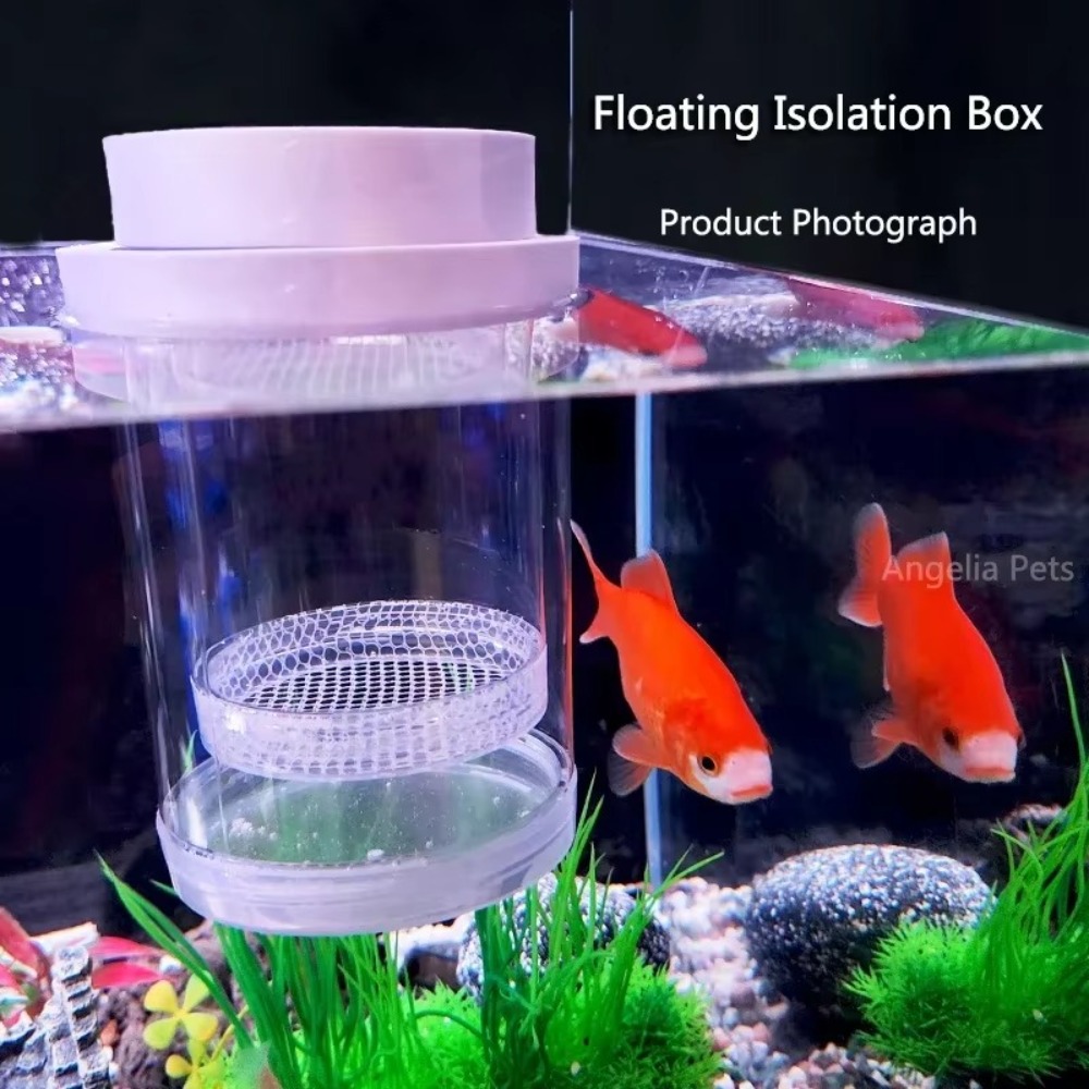 Plastic Floating Fish Breeding - مراجعة Aquarium Fish Feeder وسعره