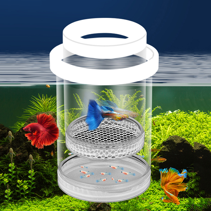 Aquarium Fish Tank Hatching In - مراجعة Aquarium Fish Feeder وسعره