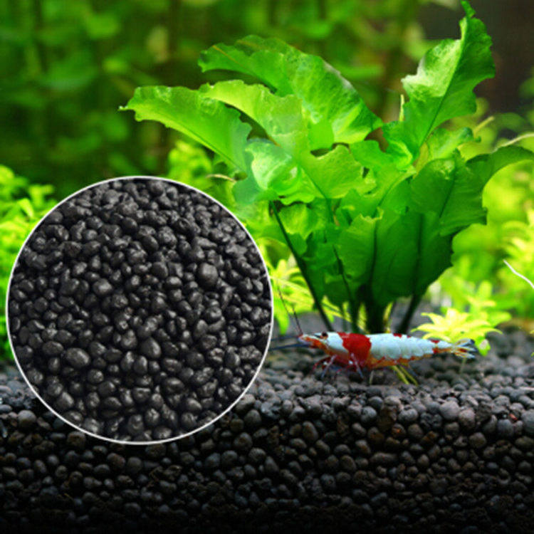 Aquarium Plant Seeds Soil Fish - مراجعة Aquarium Fish Gallery وسعره