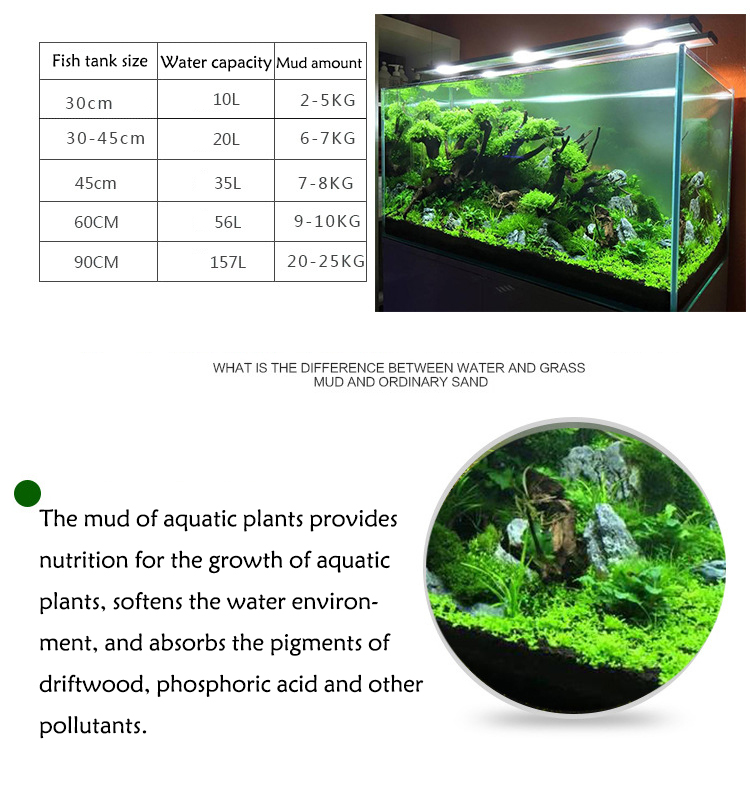 Aquarium Plant Seeds Soil Fish - مراجعة Aquarium Fish Gallery وسعره