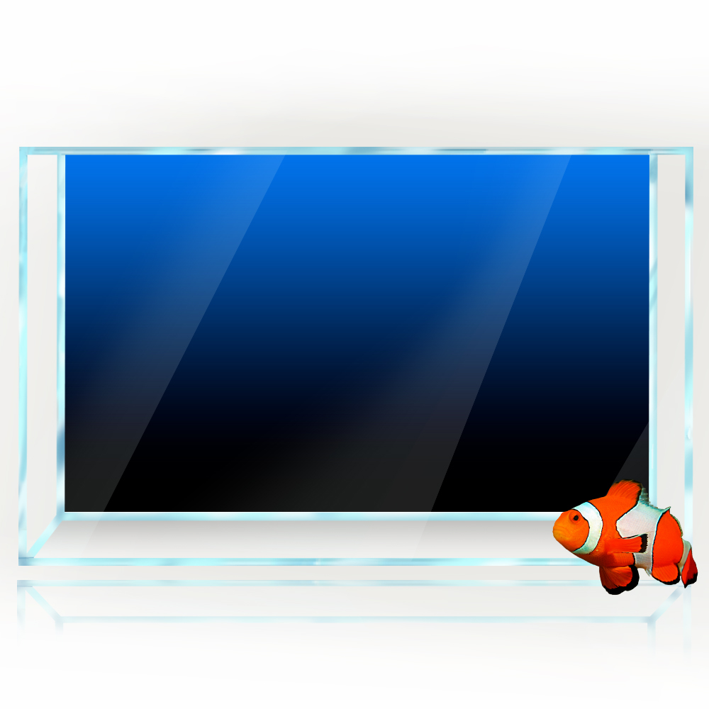 Fish Tank Background Sticker B - مراجعة Aquarium Fish Poster وسعره