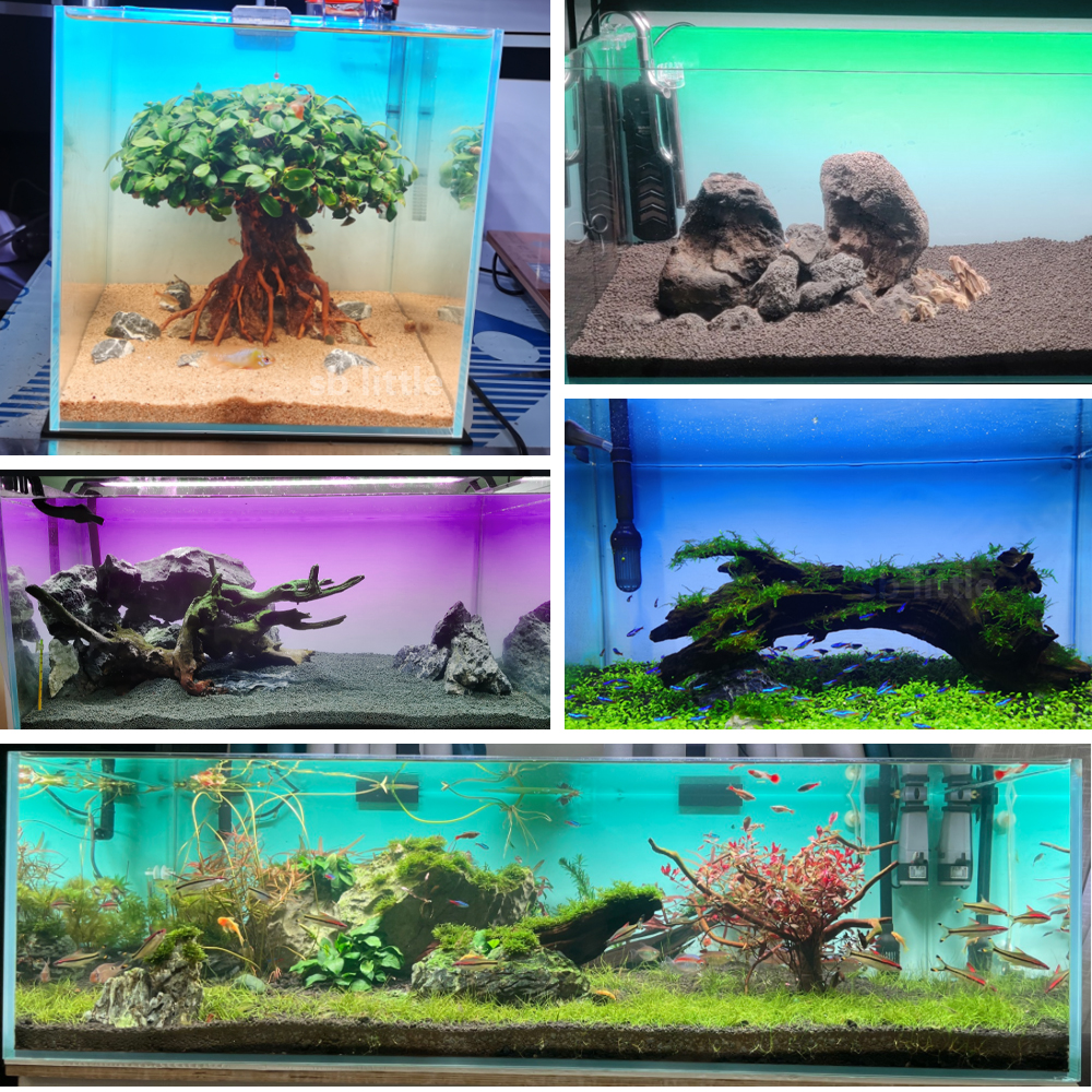 Fish Tank Background Sticker B - مراجعة Aquarium Fish Poster وسعره