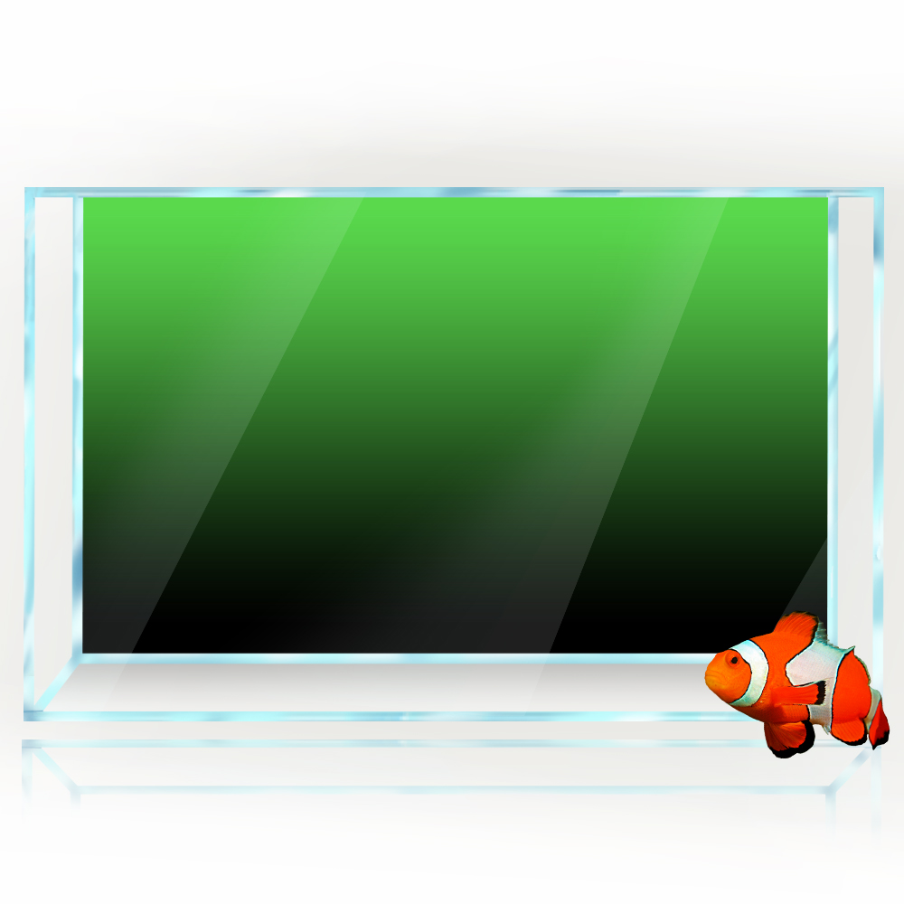 Fish Tank Background Sticker B - مراجعة Aquarium Fish Poster وسعره