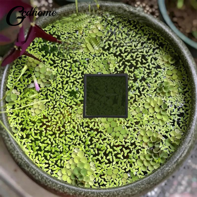 Aquarium Floating Plant Rings  - مراجعة Aquarium Fish Zone وسعره