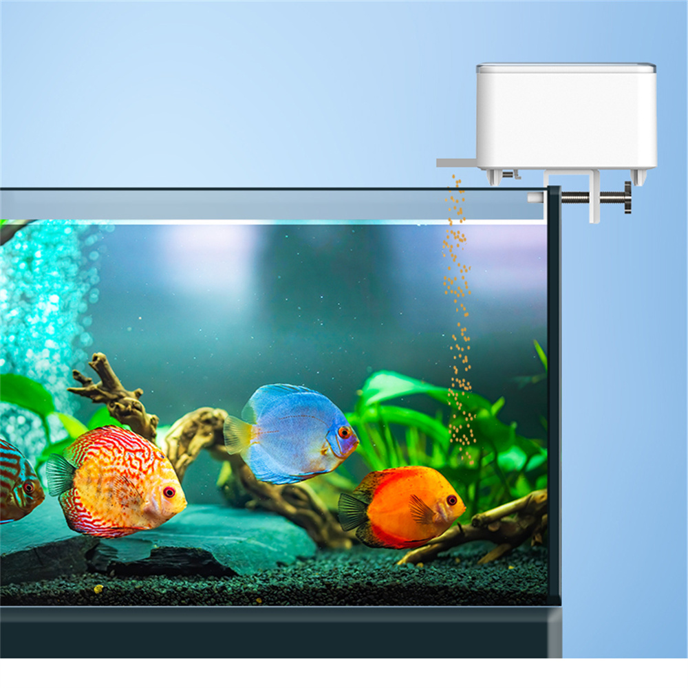 WiFi Smart Automatic Feeder Aq - مراجعة Aquarium Fish Feeder وسعره