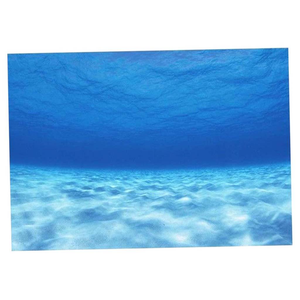 Side Decorative Aquarium Backg - مراجعة Aquarium Fish Poster وسعره