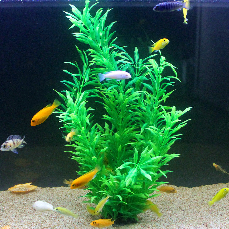 50CM Artificial Fish Tank Rare - مراجعة Aquarium Fish Real وسعره