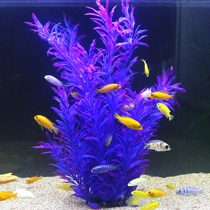 50CM Artificial Fish Tank Rare - مراجعة Aquarium Fish Real وسعره
