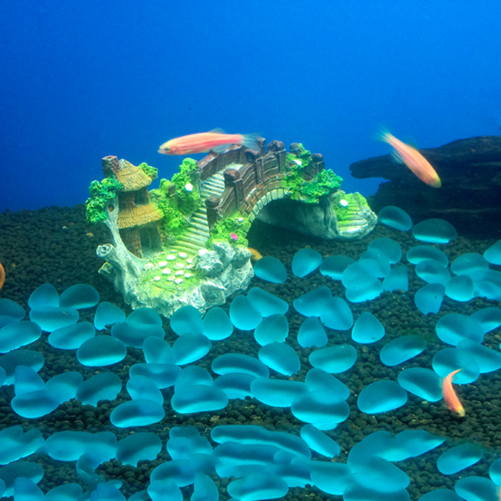 Aquarium Accessories Arbor Tre - مراجعة Aquarium Fish Bridge وسعره