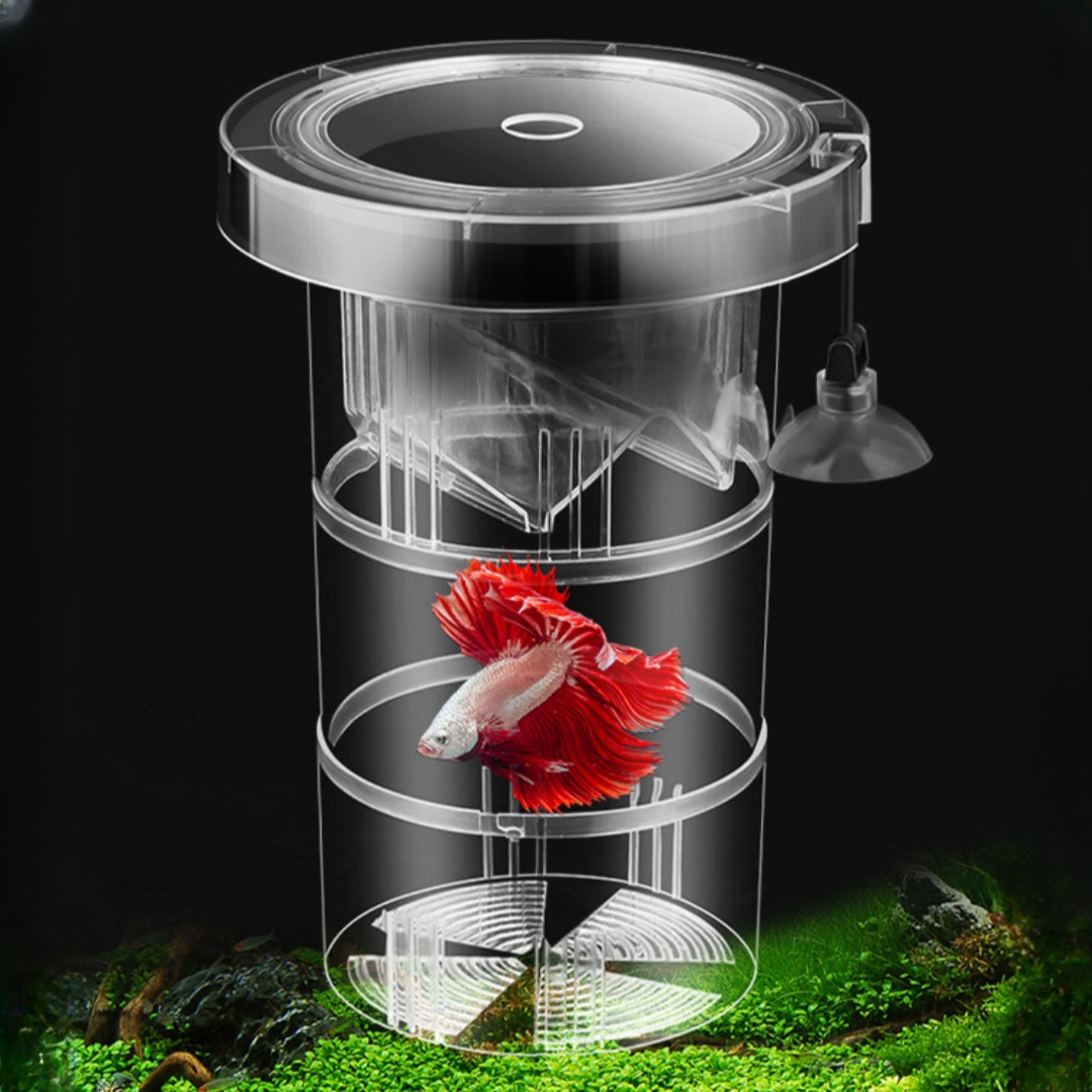 Acrylic Floating Fish Breeding - مراجعة Aquarium Fish Feeder وسعره