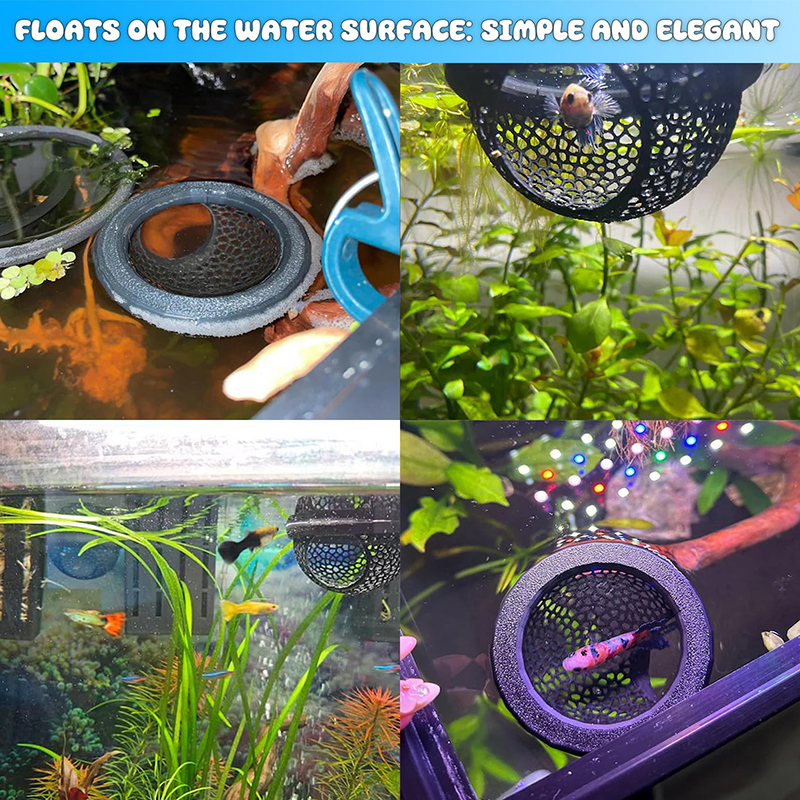 Ring FLoatinG Betta Hide Shrim - مراجعة Aquarium Fish Feeder وسعره
