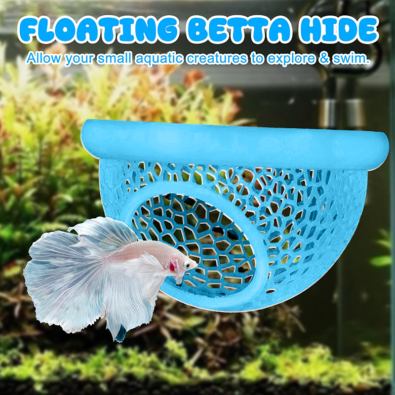 Ring FLoatinG Betta Hide Shrim - مراجعة Aquarium Fish Feeder وسعره
