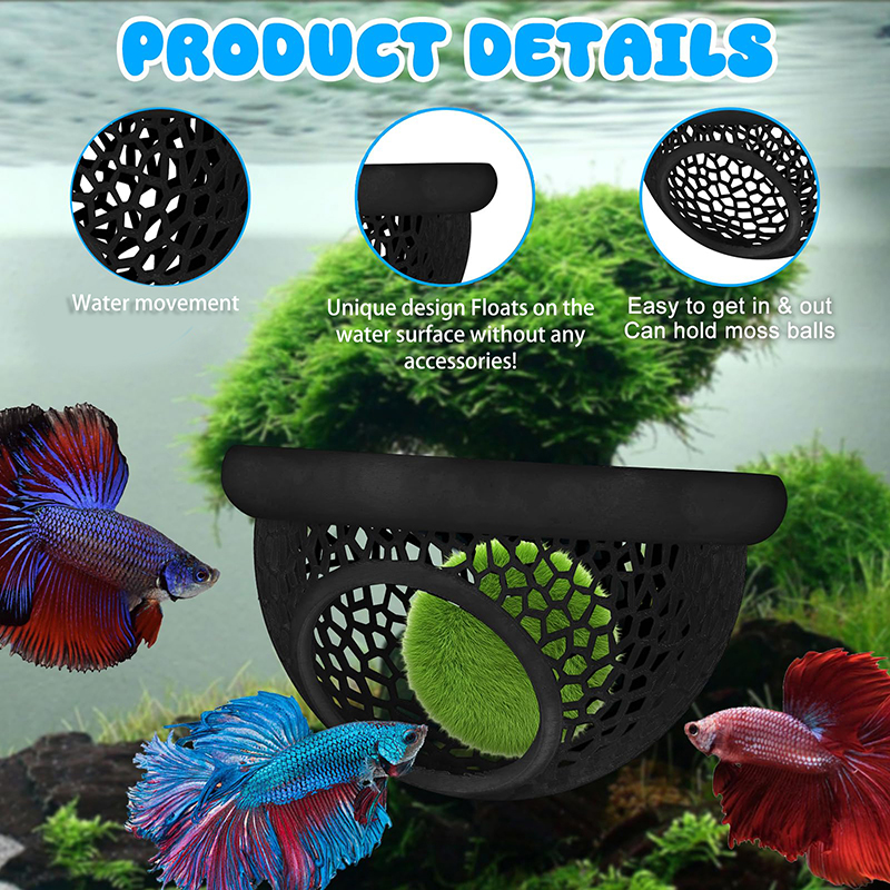 Ring FLoatinG Betta Hide Shrim - مراجعة Aquarium Fish Feeder وسعره