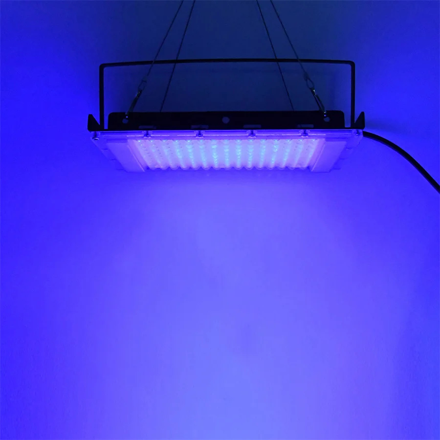300W UV 395nm Black Light Ultr - مراجعة Aquarium Fish Poster وسعره