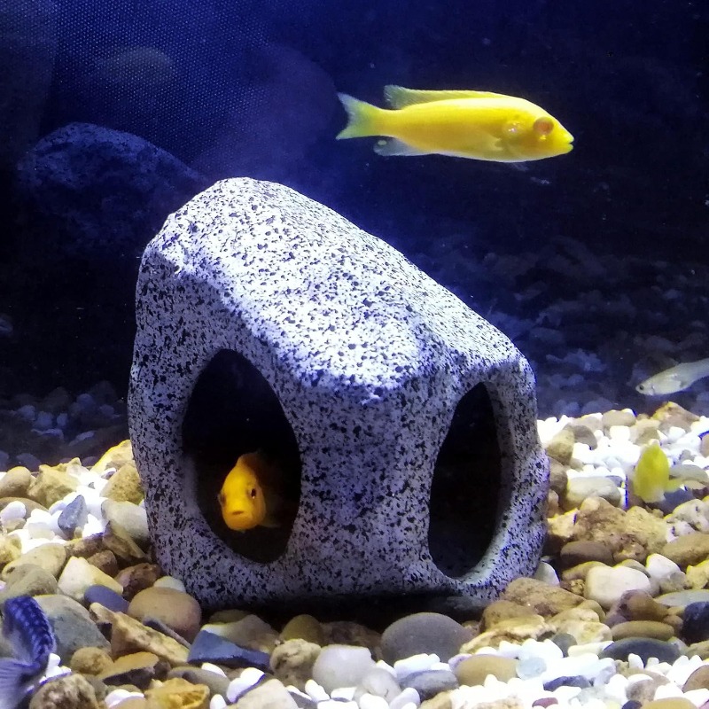 Fish Tank Cave Stone Landscapi - مراجعة Aquarium Fish Hiding Places وسعره