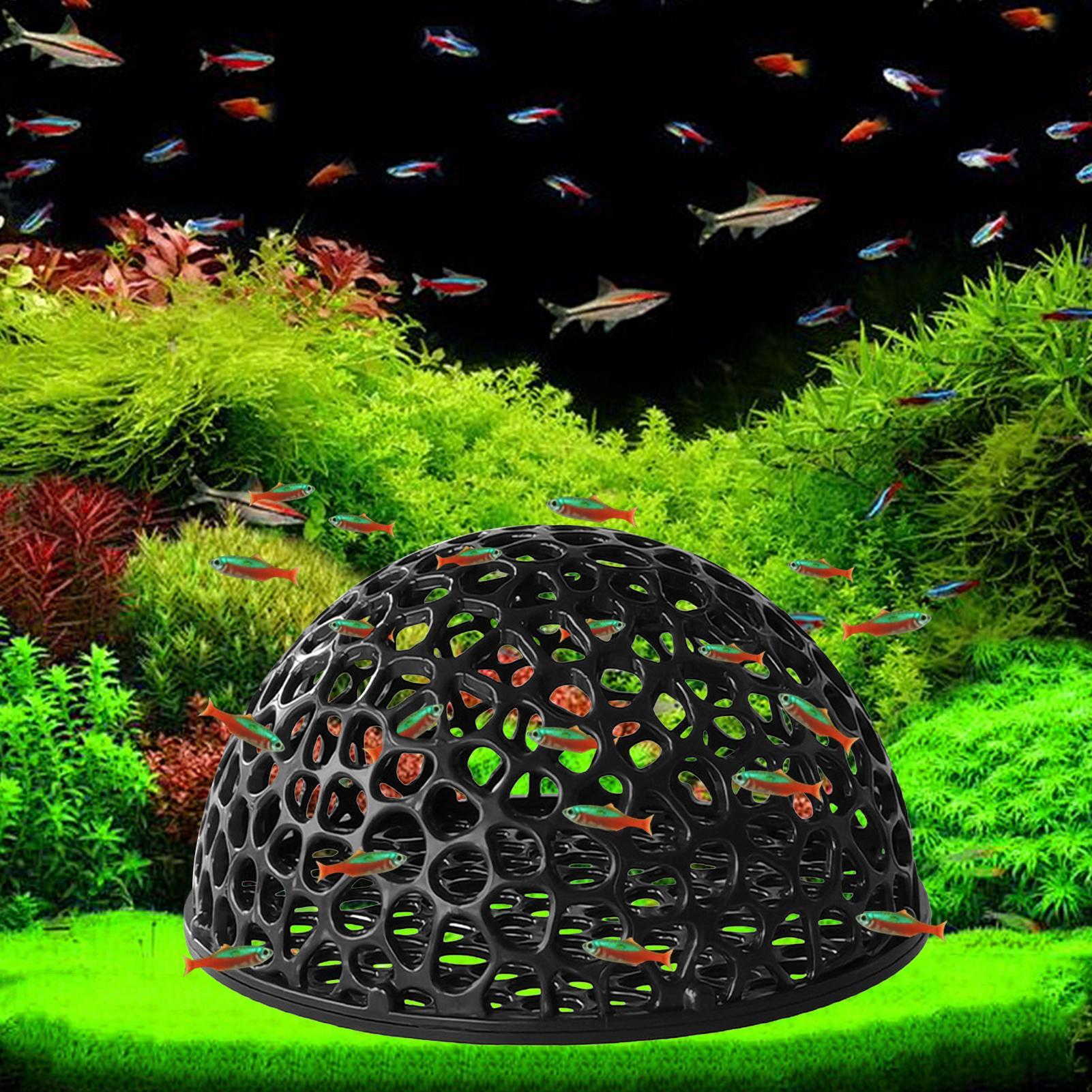 Aquarium shrimp house Cave Min - مراجعة Aquarium Fish Hiding Places وسعره