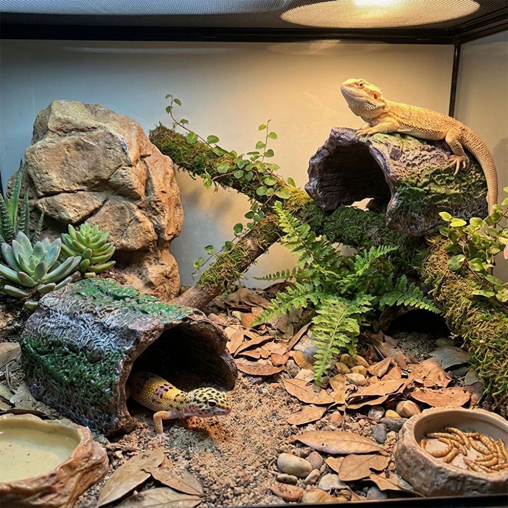 Simulation Reptile Hideout Hol - مراجعة Aquarium Fish Hiding Places وسعره