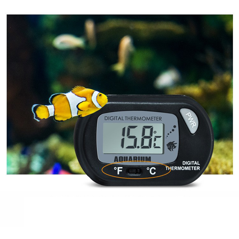 1PC 58*37mm Fish Tank Digital  - مراجعة Aquarium Fish Yellow And Black وسعره