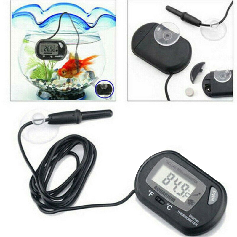 1PC 58*37mm Fish Tank Digital  - مراجعة Aquarium Fish Yellow And Black وسعره