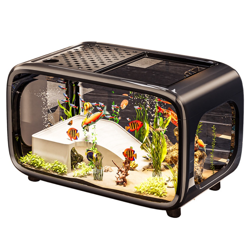 Creative Transparent Ecologica - مراجعة Live Fish Aquarium وسعره