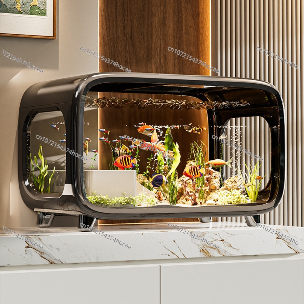Creative Transparent Ecologica - مراجعة Live Fish Aquarium وسعره