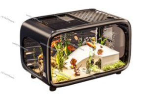 Creative Transparent Ecologica - مراجعة Live Fish Aquarium وسعره