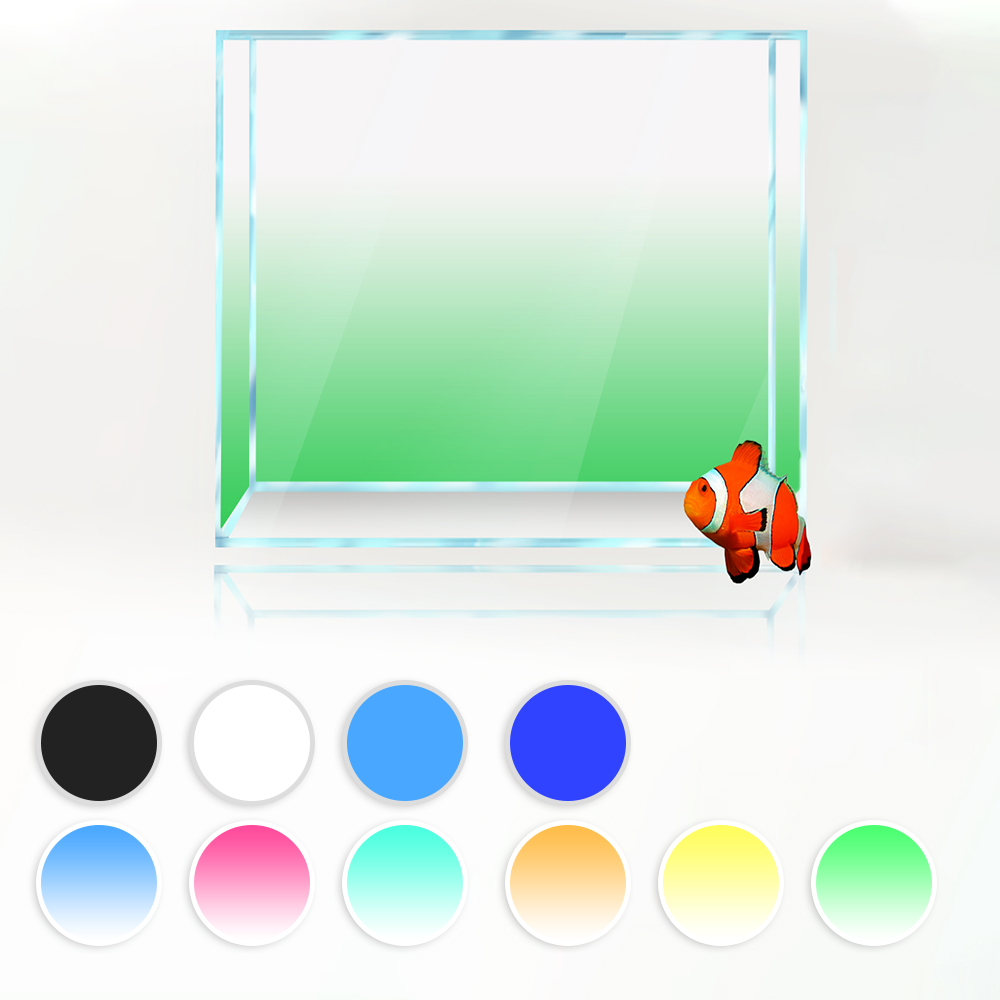 Square Fish Tank Background Wh - مراجعة Aquarium Fish Yellow And Black وسعره