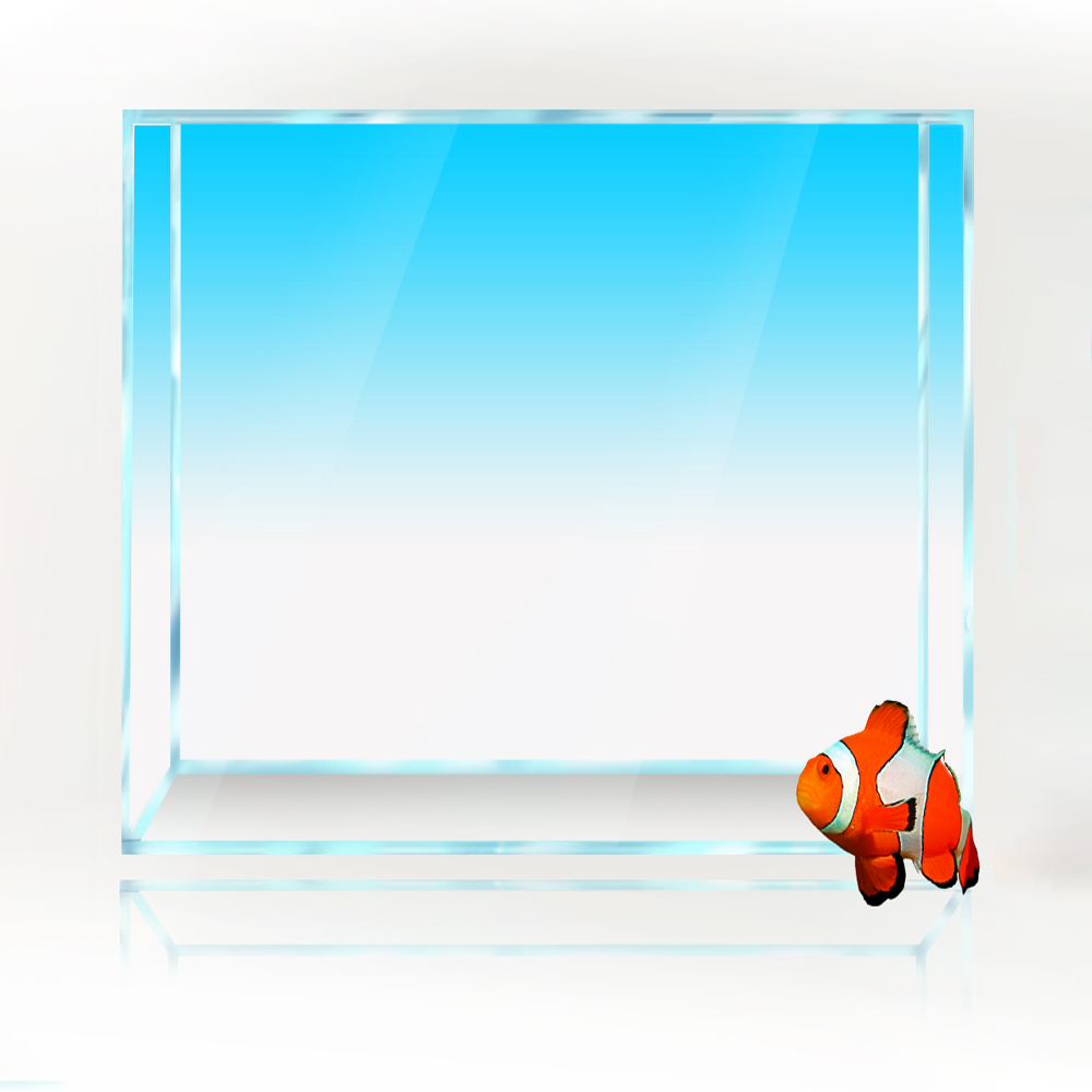 Square Fish Tank Background Wh - مراجعة Aquarium Fish Yellow And Black وسعره