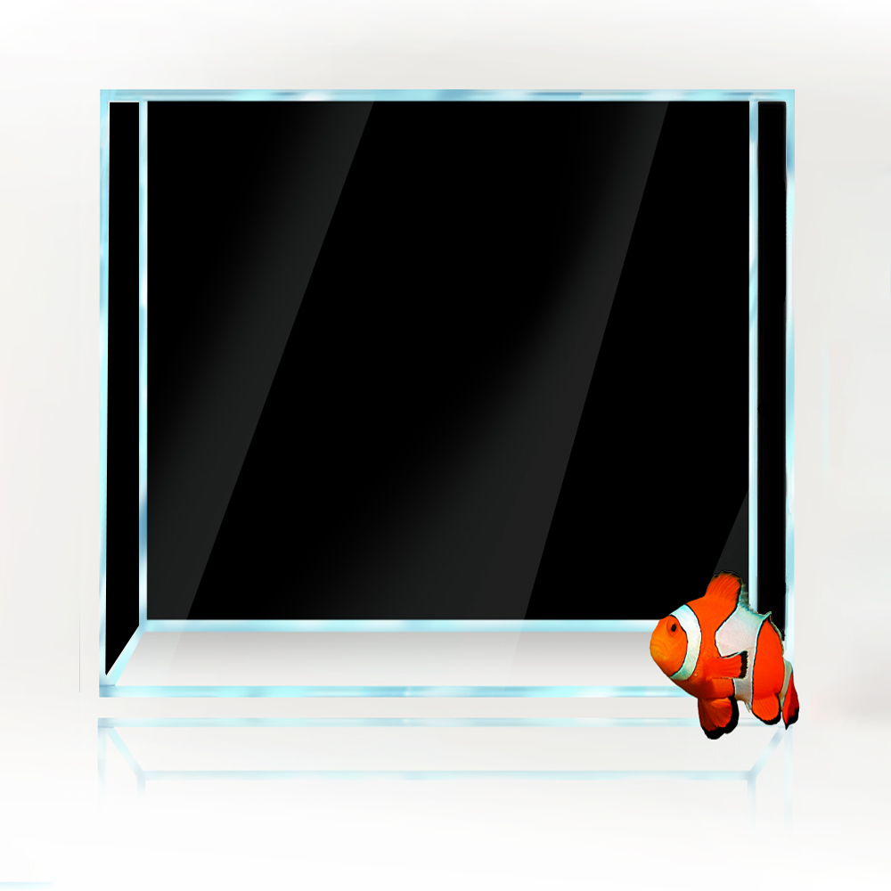 Square Fish Tank Background Wh - مراجعة Aquarium Fish Yellow And Black وسعره