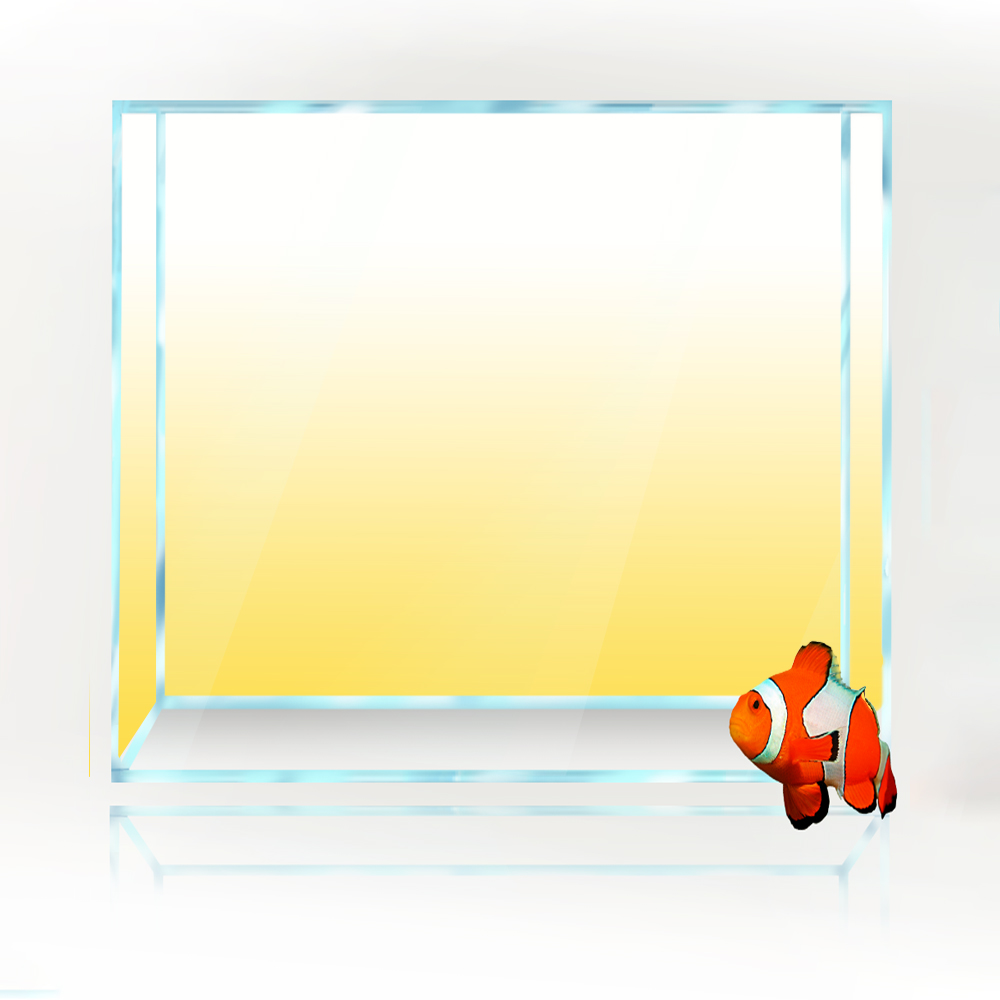 Square Fish Tank Background Wh - مراجعة Aquarium Fish Yellow And Black وسعره