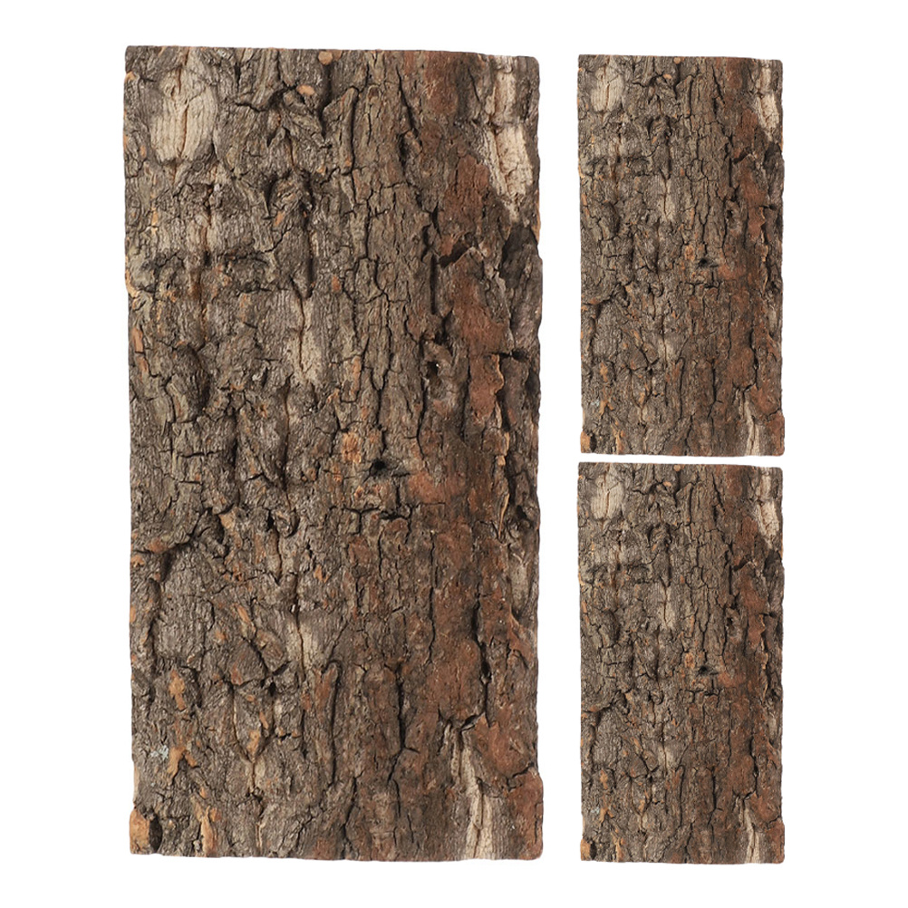 3pcs Cork Bark For Reptiles Te - مراجعة Aquarium Fish Real وسعره