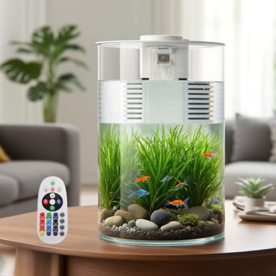 3 Gallon Self Cleaning Fish Ta - مراجعة Fish Co Aquarium وسعره