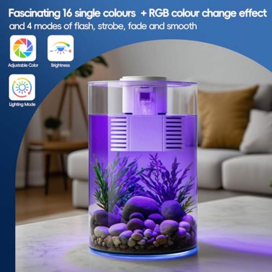 3 Gallon Self Cleaning Fish Ta - مراجعة Fish Co Aquarium وسعره