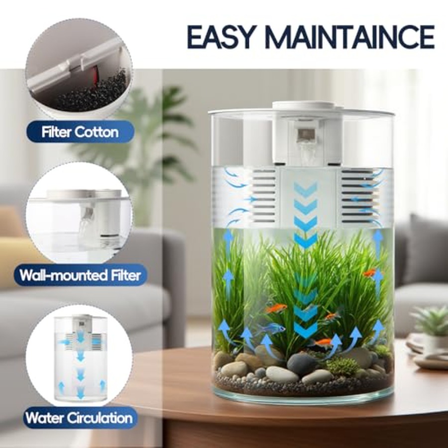 3 Gallon Self Cleaning Fish Ta - مراجعة Fish Co Aquarium وسعره