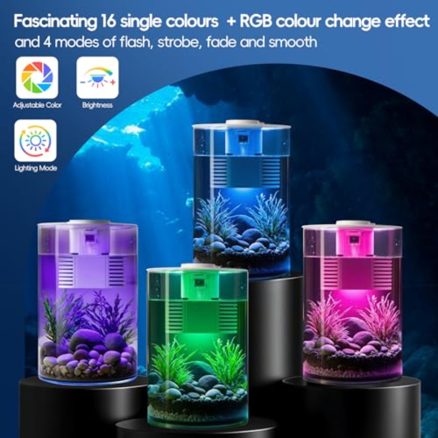 3 Gallon Self Cleaning Fish Ta - مراجعة Fish Co Aquarium وسعره