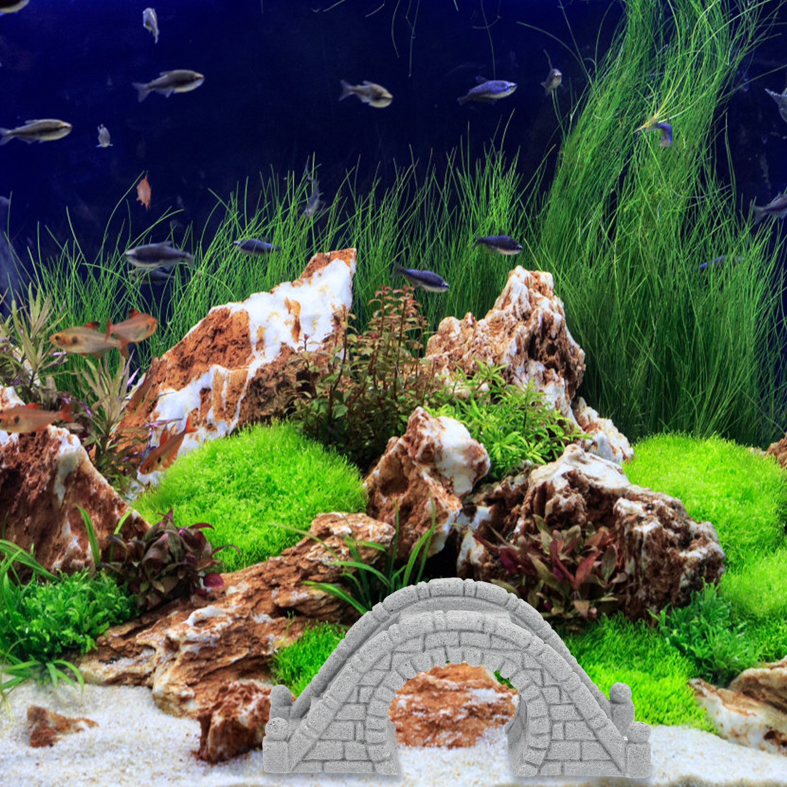 2Pcs Unique Crafted Aquarium D - مراجعة Aquarium Fish Bridge وسعره