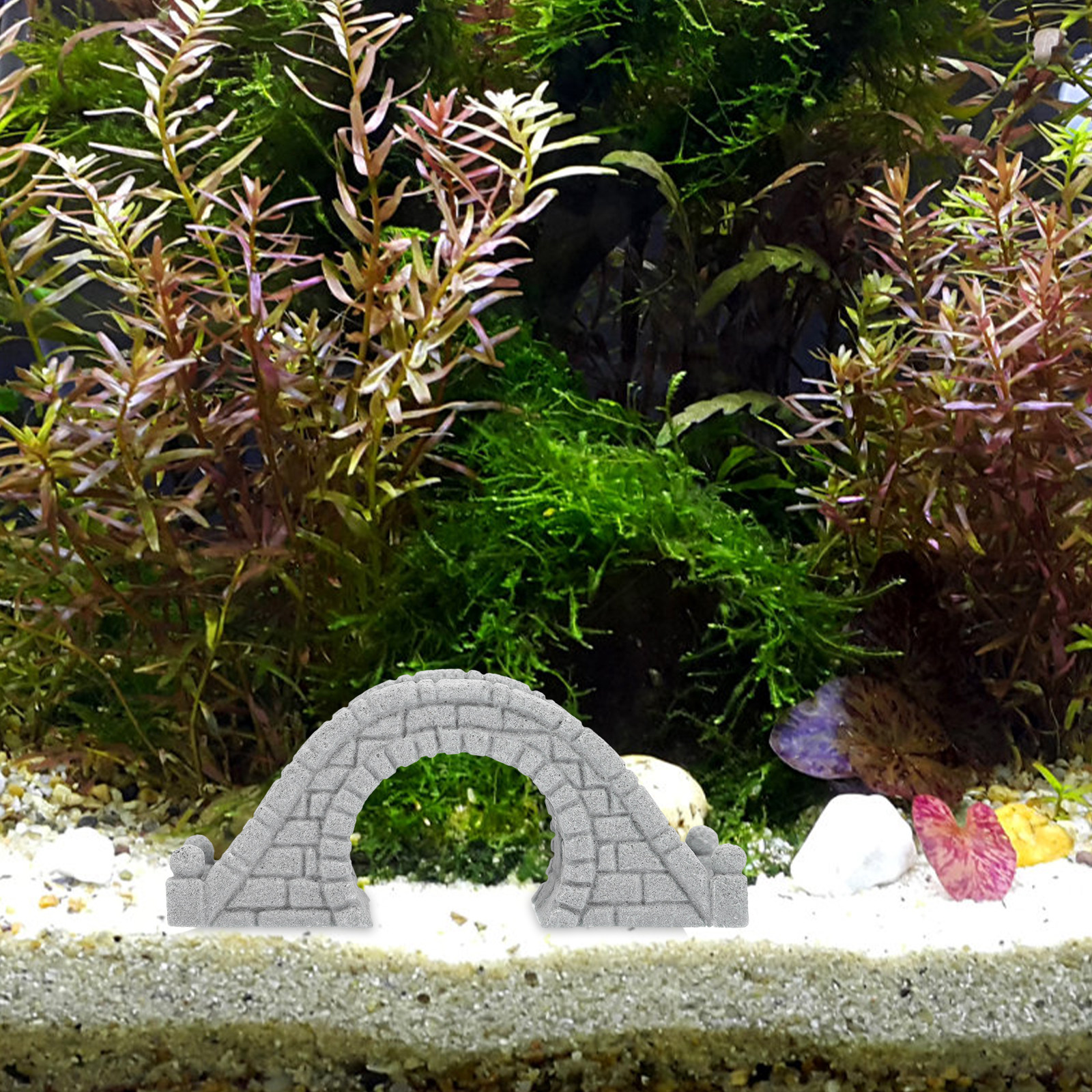 2Pcs Unique Crafted Aquarium D - مراجعة Aquarium Fish Bridge وسعره