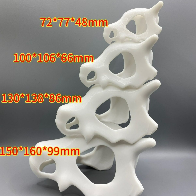 3D Printed FIsh Shrimp Reptile - مراجعة Aquarium Fish Hiding Places وسعره