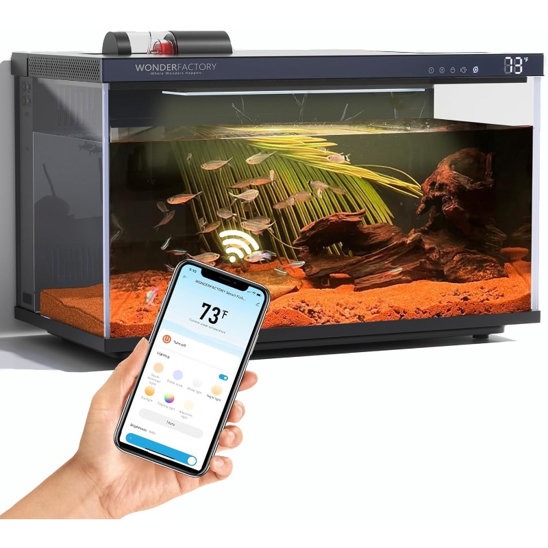 Smart Aquarium, Glass Fish Tan - مراجعة Aquarium Fish Feeder وسعره