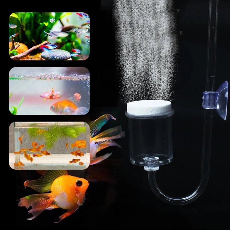 4pcs Set DIY CO2 Diffuser For  - مراجعة Live Fish Aquarium وسعره