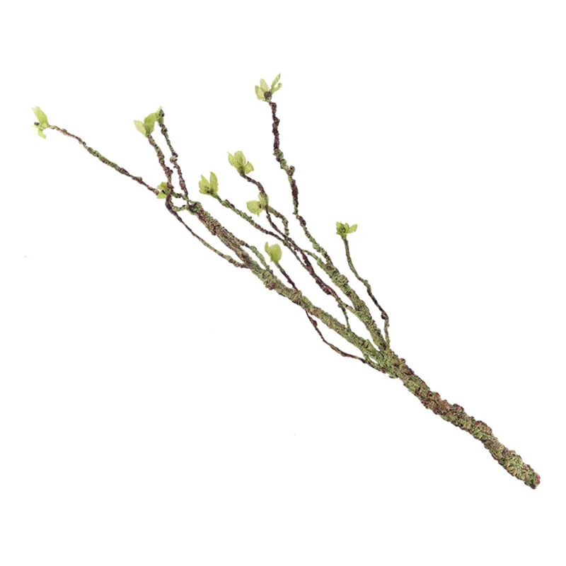 Vines Decor Climbing Branches  - مراجعة Aquarium Fish Real وسعره