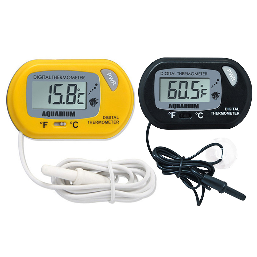Fish Tank Thermometer Suction  - مراجعة Aquarium Fish Yellow And Black وسعره