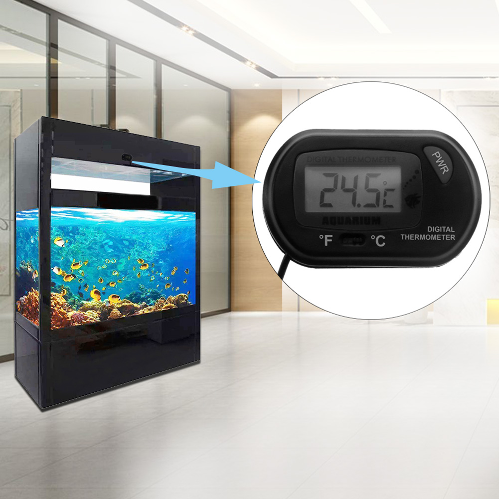 Fish Tank Thermometer Suction  - مراجعة Aquarium Fish Yellow And Black وسعره