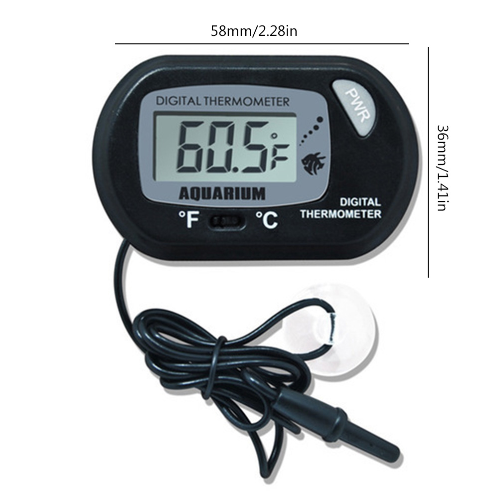 Fish Tank Thermometer Suction  - مراجعة Aquarium Fish Yellow And Black وسعره