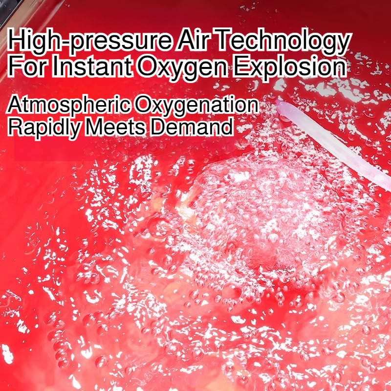 Electric Fishing Oxygenator Ul - مراجعة Live Fish Aquarium وسعره