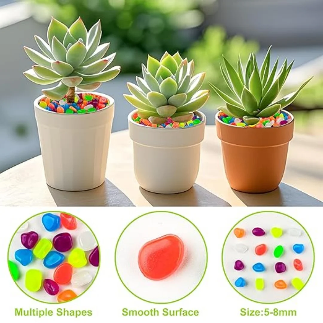 500Pcs Glow in The Dark Garden - مراجعة Aquarium Fish Gallery وسعره