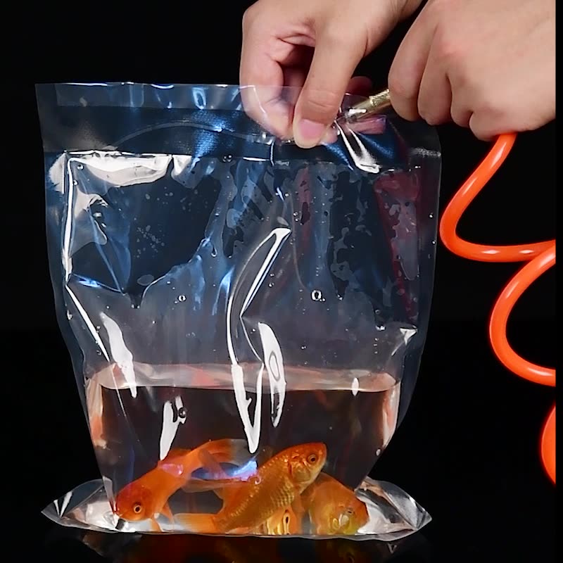 TETP 100Pcs transparent Orname - مراجعة Aquarium Fish Delivery وسعره
